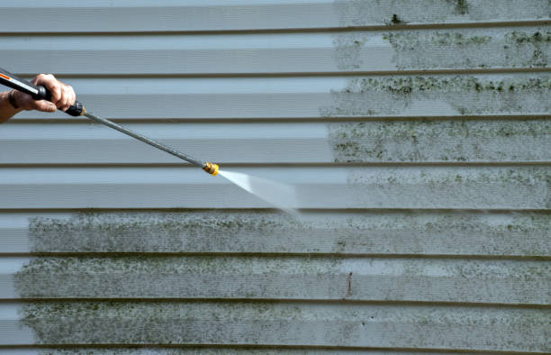 Professional Pressure washing in Balm, FL